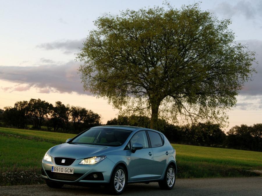  Seat Ibiza 2008 года  (фото 17 из 287)